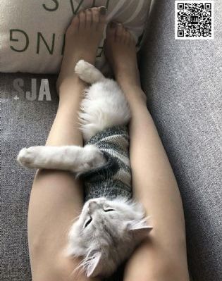 花间令电视剧演员表_超清完整视频观看