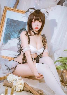 海贼王341集去雾霾视频在哪里看_1080在线观看高清