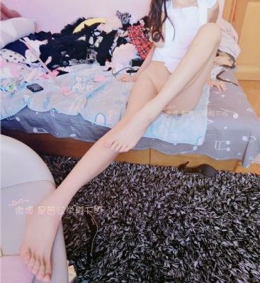 仙踪林免费高清观看_国产剧手机在线看